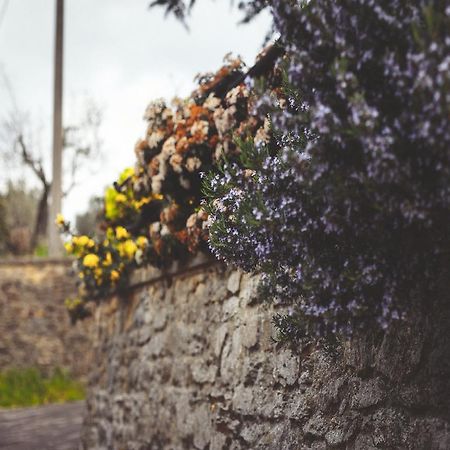 Agriturismo La Collina Toscana Pieve a Maiano Eksteriør billede