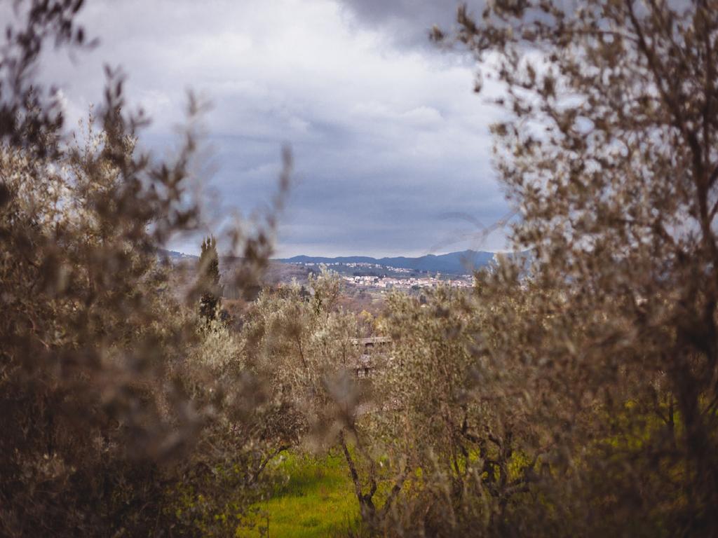 Agriturismo La Collina Toscana Pieve a Maiano Eksteriør billede